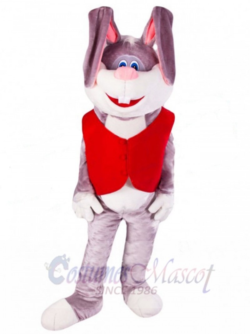 Easter Bunny Rabbit mascot costume