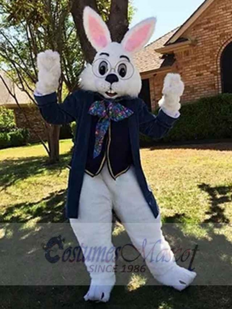 Easter Bunny Rabbit mascot costume