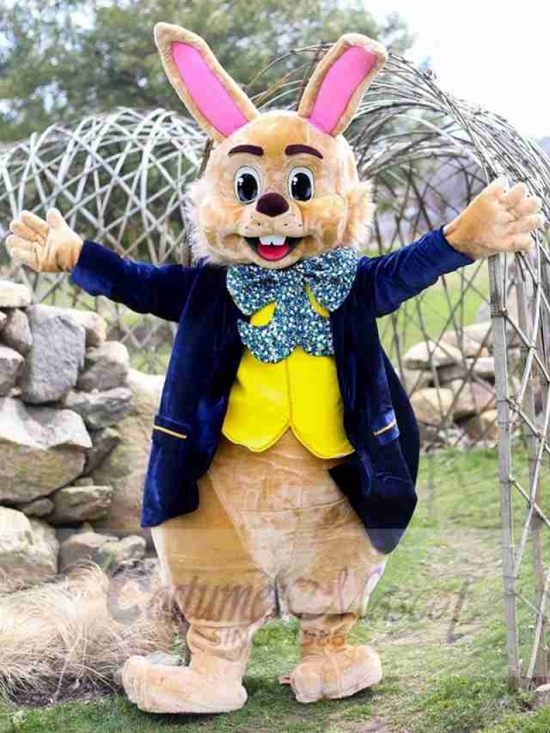 Easter Bunny Rabbit mascot costume
