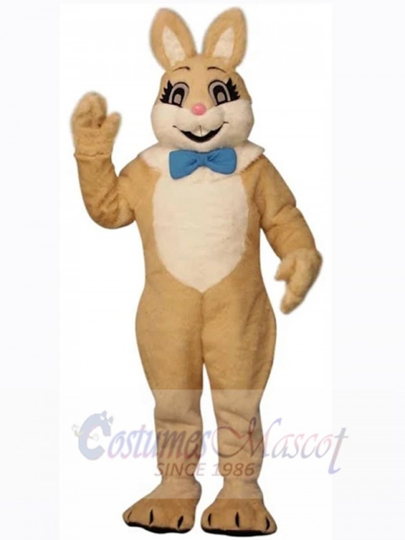 Easter Bunny Rabbit mascot costume