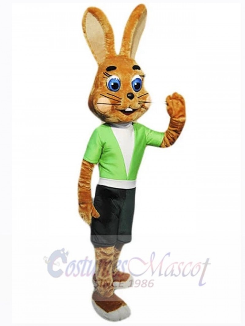 Easter Bunny Rabbit mascot costume