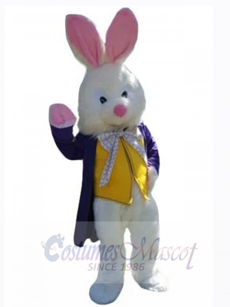 Easter Bunny Rabbit mascot costume
