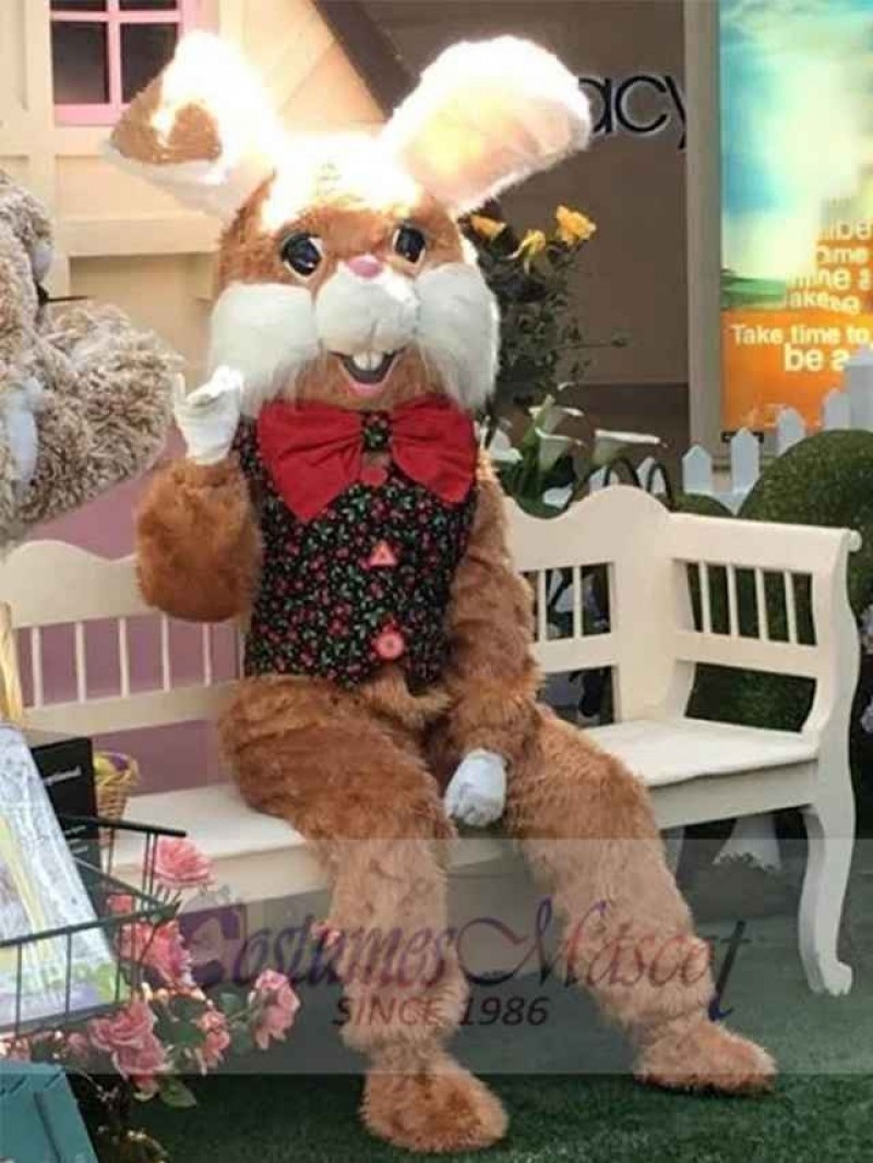 Easter Bunny Rabbit mascot costume