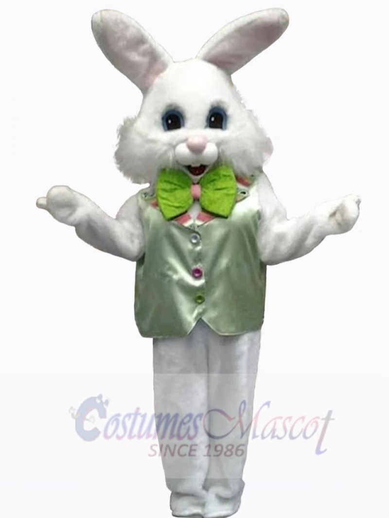 Easter Bunny Rabbit mascot costume