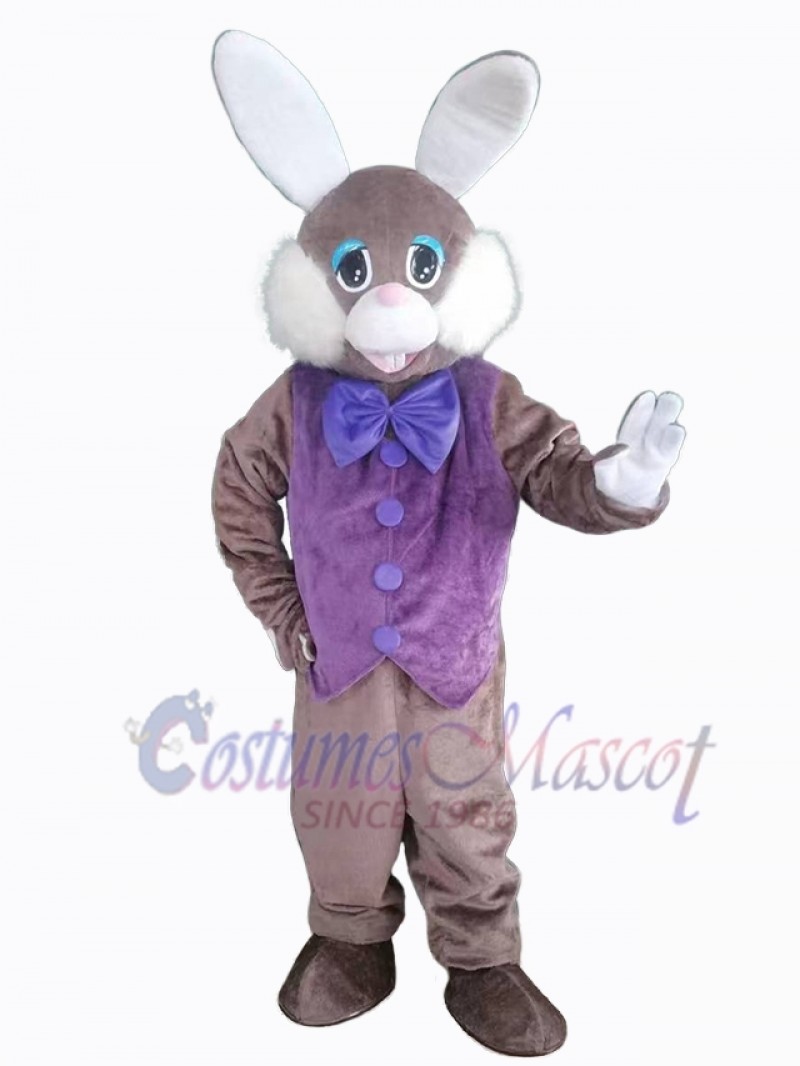 Easter Bunny Rabbit mascot costume