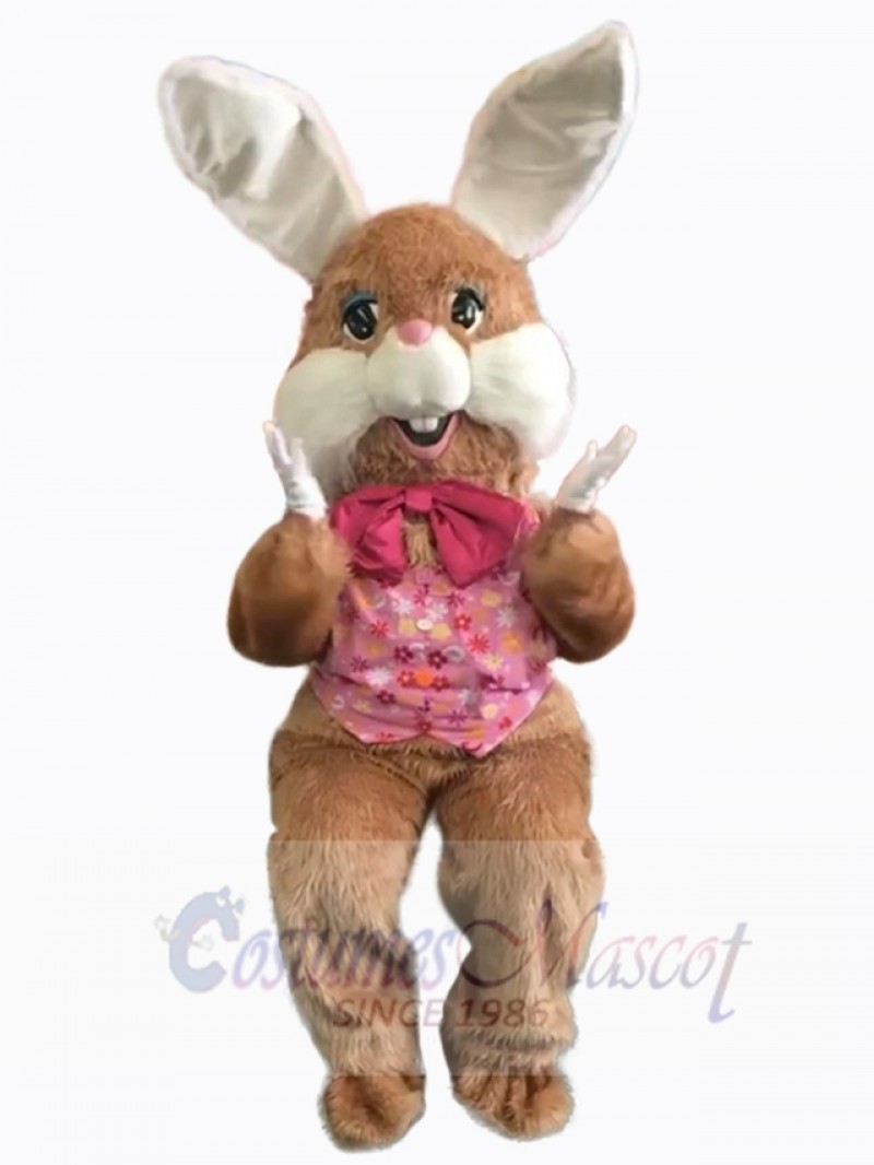Easter Bunny Rabbit mascot costume