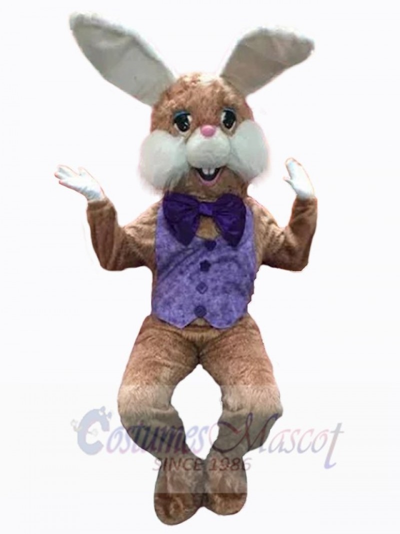 Easter Bunny Rabbit mascot costume