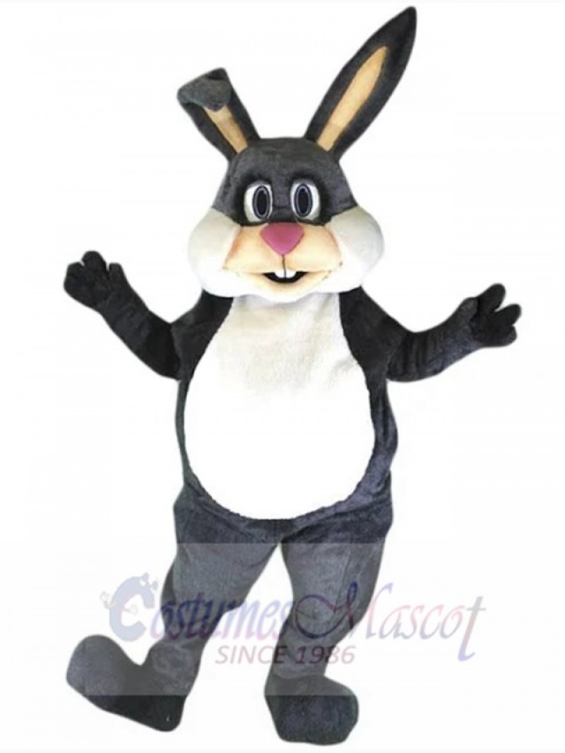 Easter Bunny Rabbit mascot costume