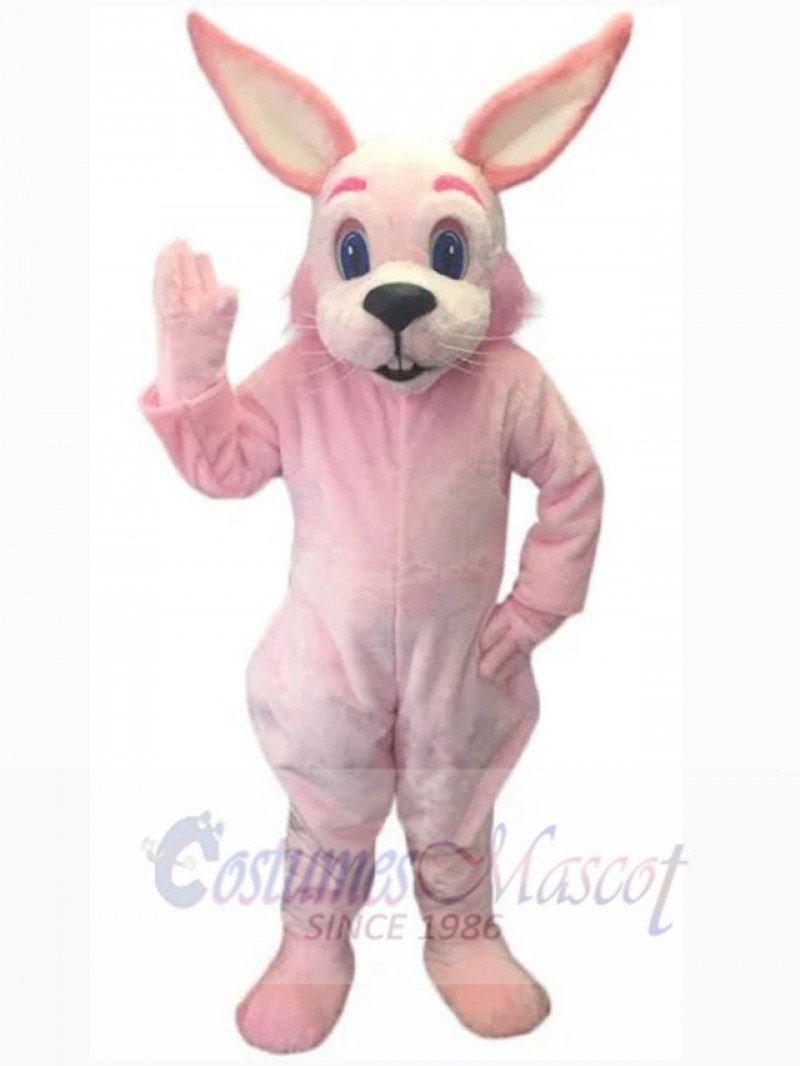 Easter Bunny Rabbit mascot costume