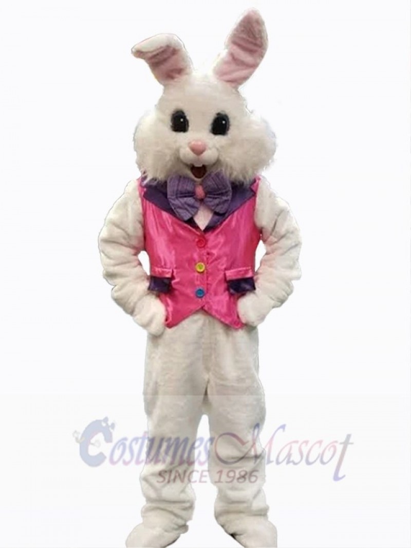 Easter Bunny Rabbit mascot costume