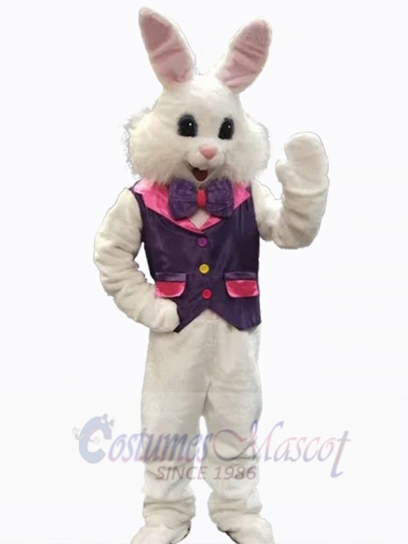 Easter Bunny Rabbit mascot costume