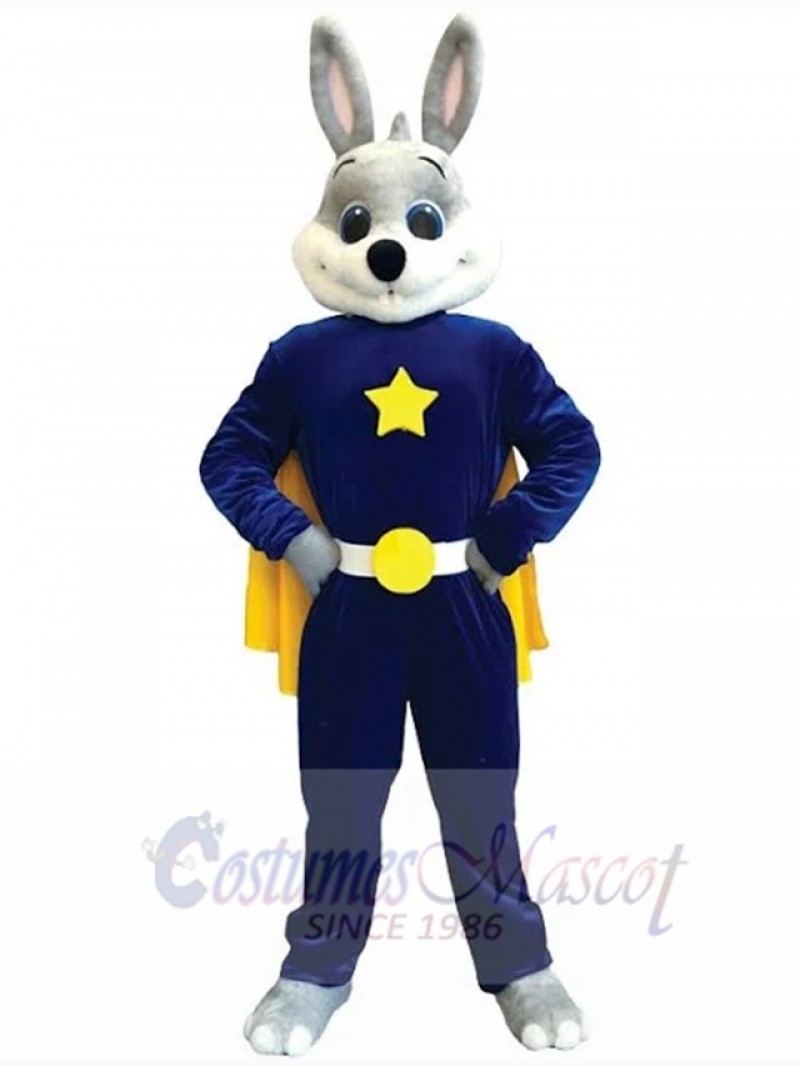 Easter Bunny Rabbit mascot costume