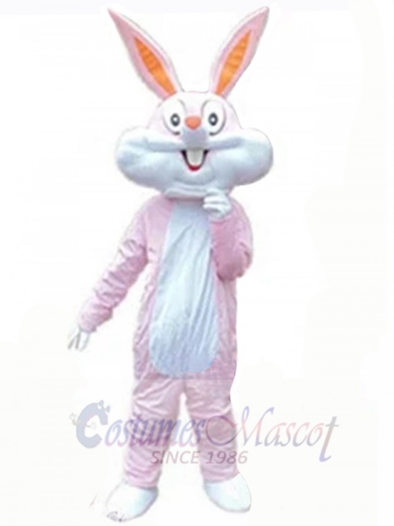 Easter Bunny Rabbit mascot costume