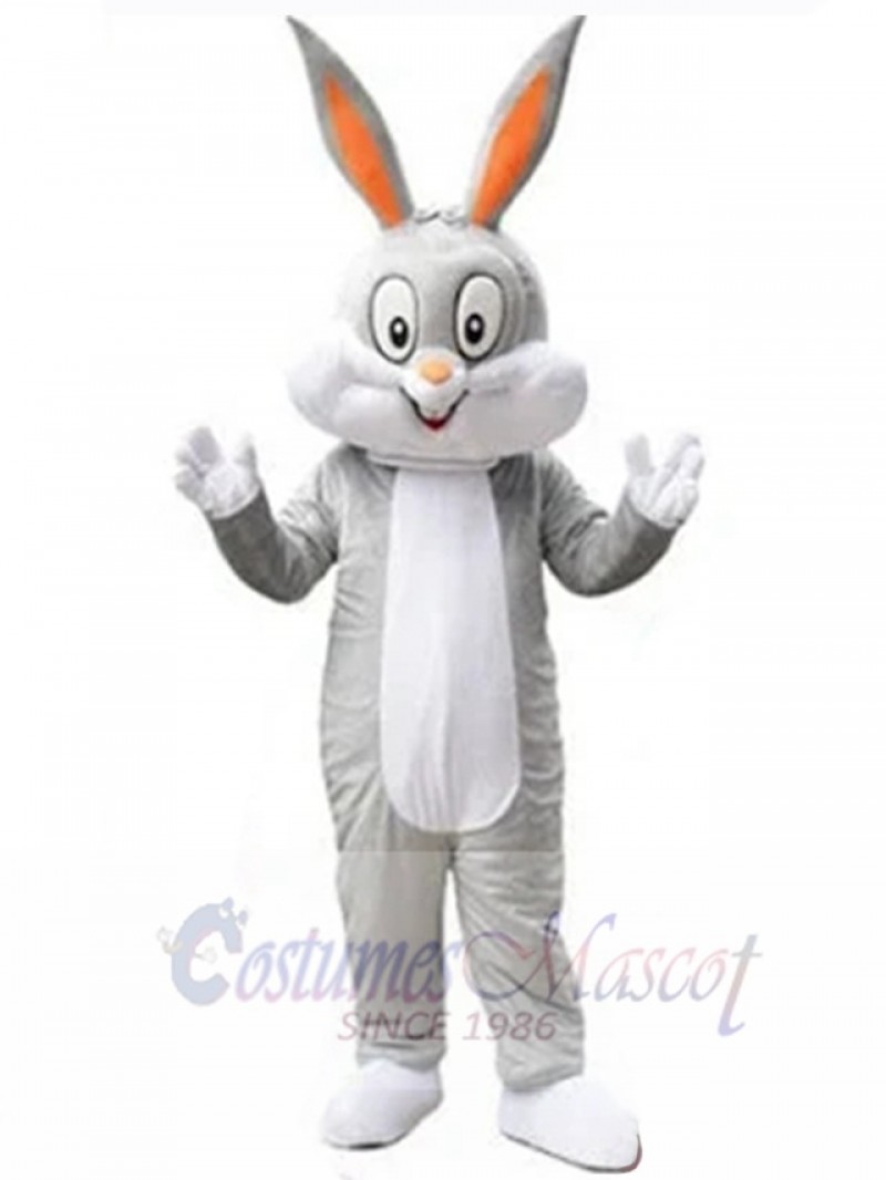Easter Bunny Rabbit mascot costume