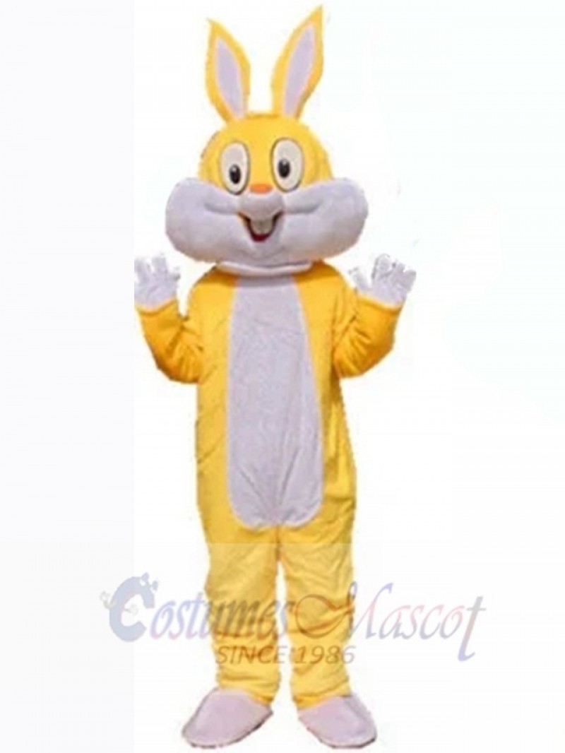 Easter Bunny Rabbit mascot costume