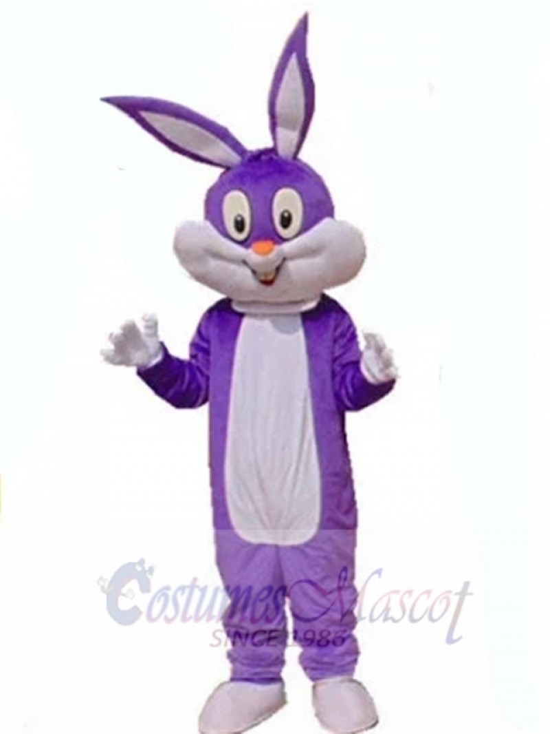 Easter Bunny Rabbit mascot costume