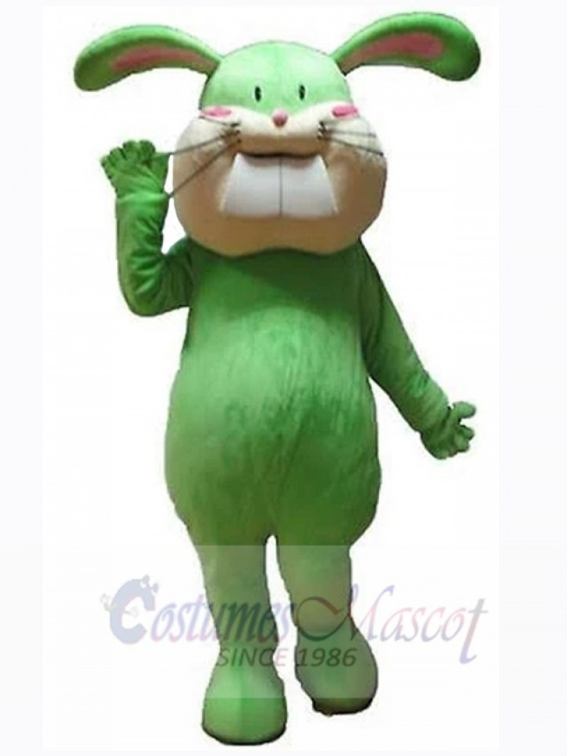 Easter Bunny Rabbit mascot costume