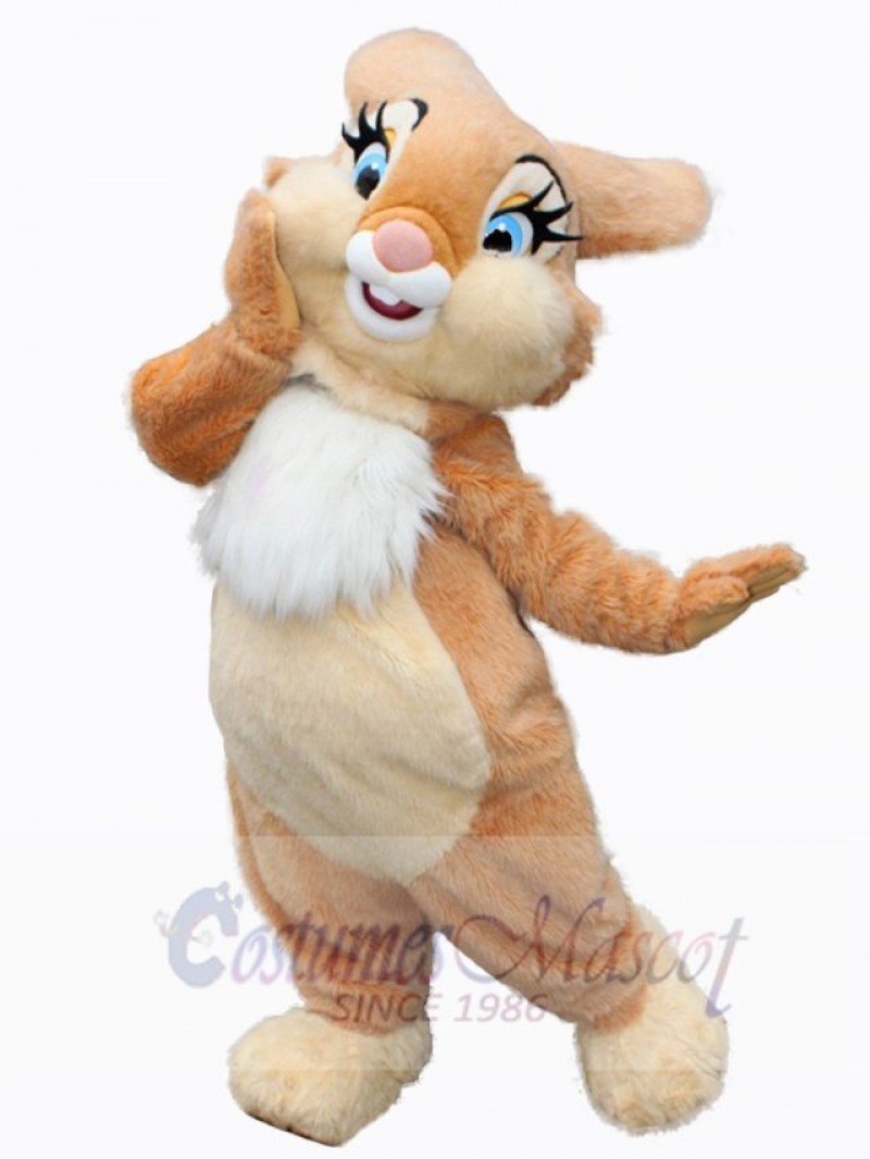 Easter Bunny Rabbit mascot costume