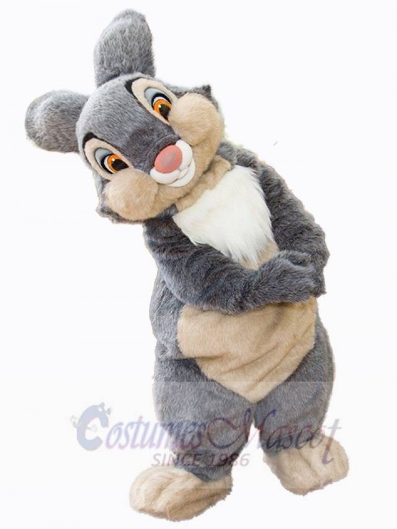 Easter Bunny Rabbit mascot costume