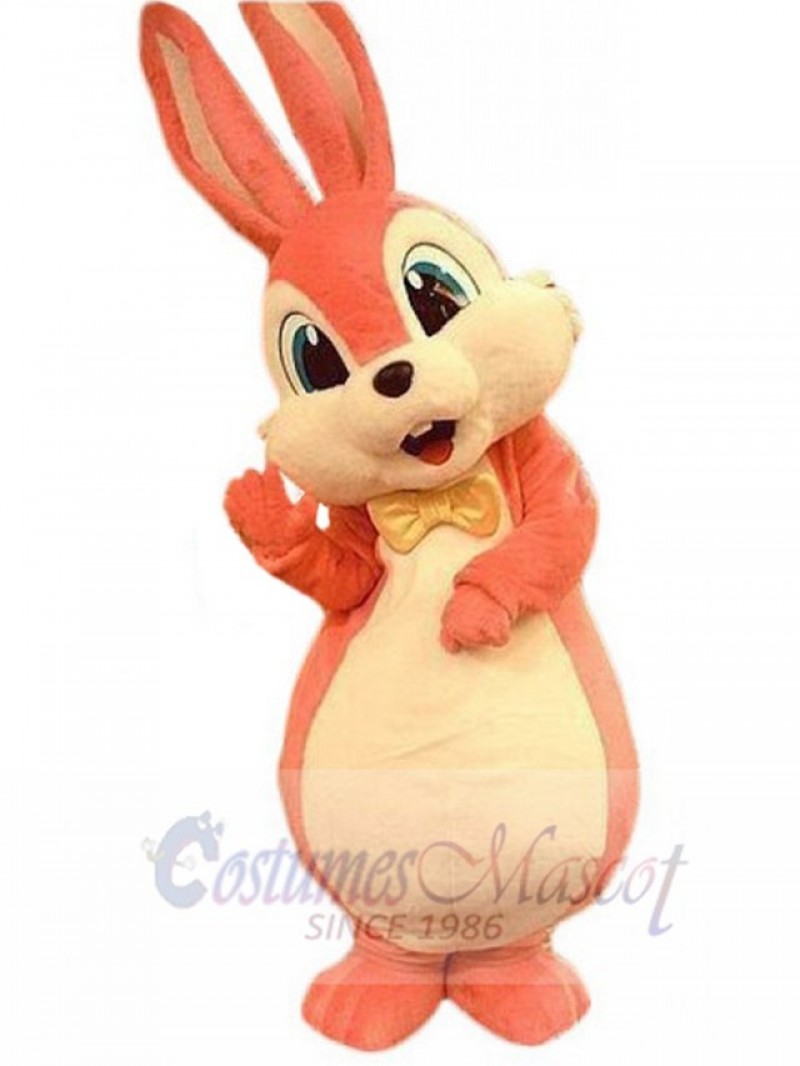 Easter Bunny Rabbit mascot costume