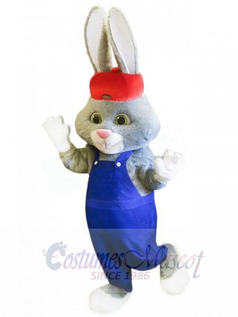 Easter Bunny Rabbit mascot costume