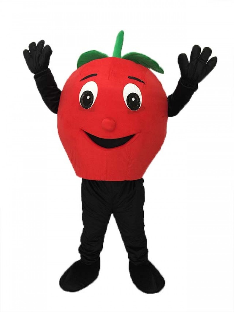 Big Red Apple Mascot Costume