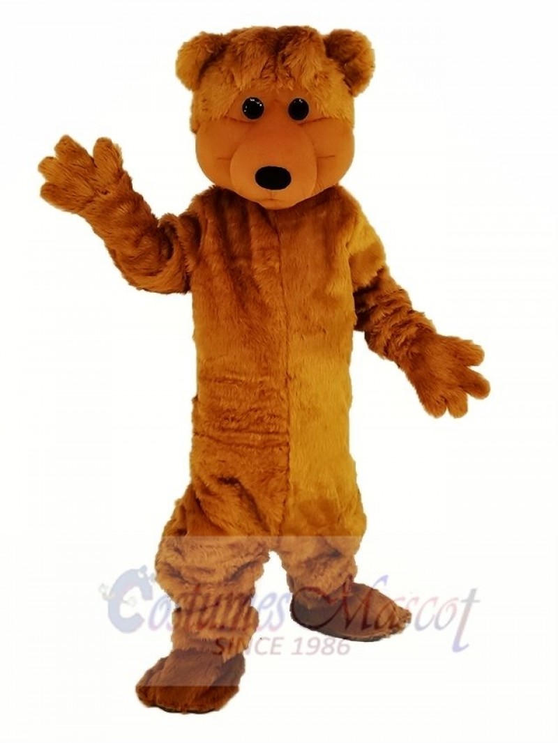 Brown Foolish Bear Mascot Costume