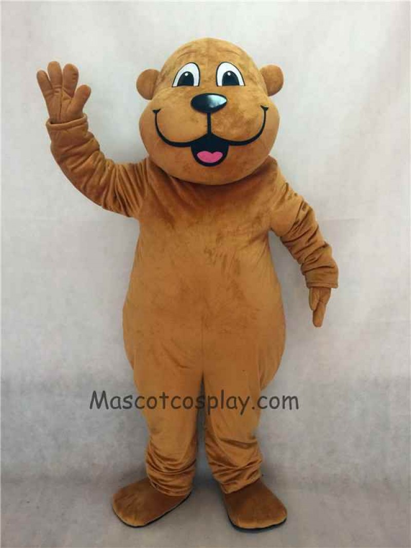 Hot Sale Adorable Realistic New Popular Professional Brown Woody Woodchuck Mascot Costume