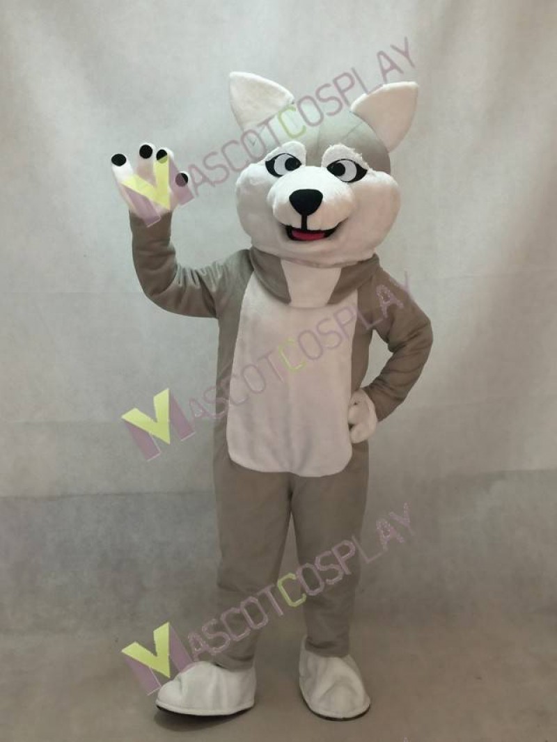 Gray Sled Wolf Dog Mascot Costume with White Belly