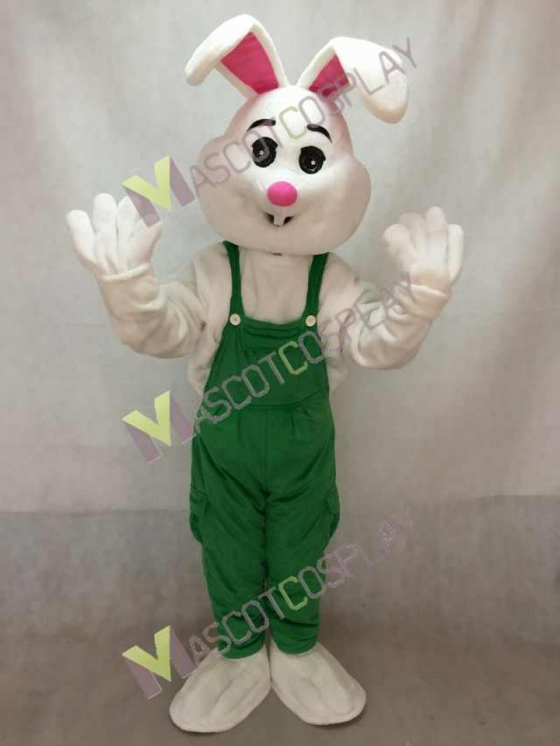 Easter Bunny Rabbit Boy Mascot Costume in Green Overalls