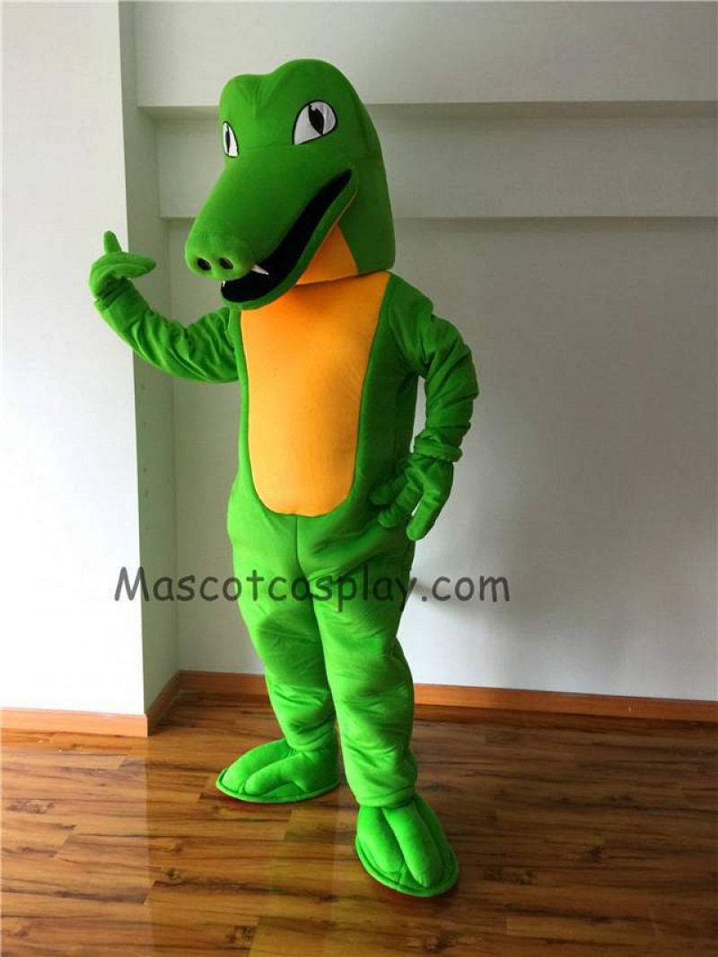 Cute Crocodile Mascot Costume