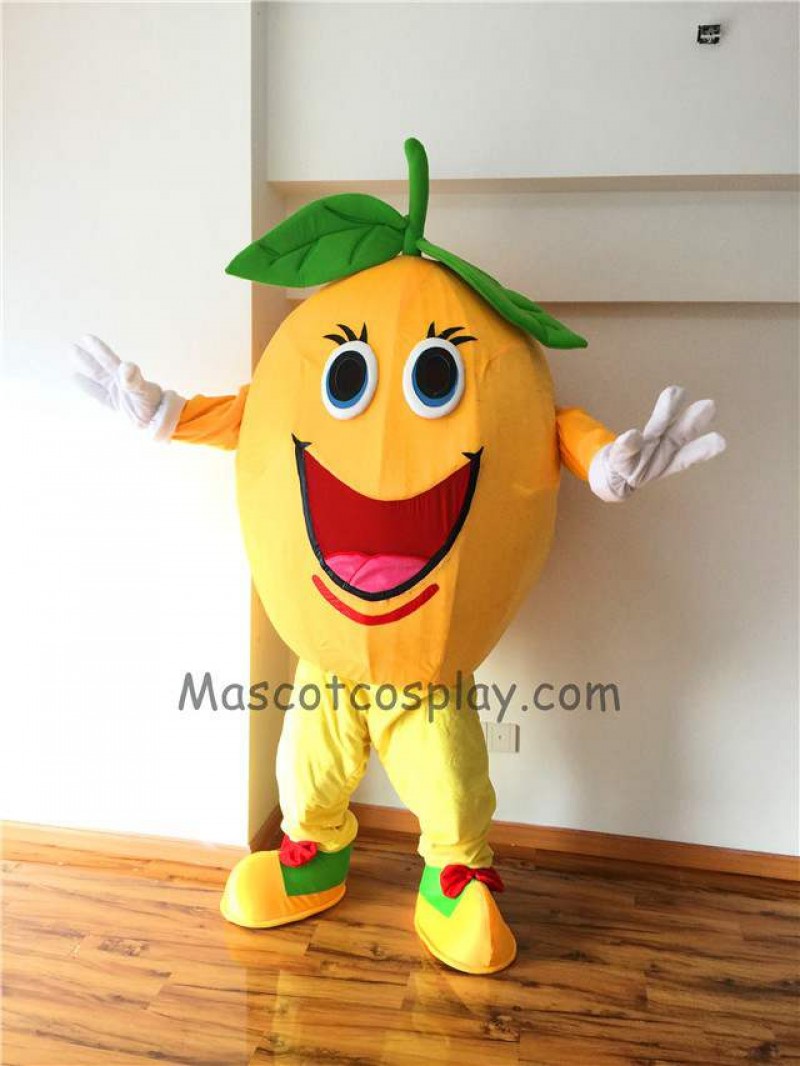 Cute Round Orange Plush Mascot Costume