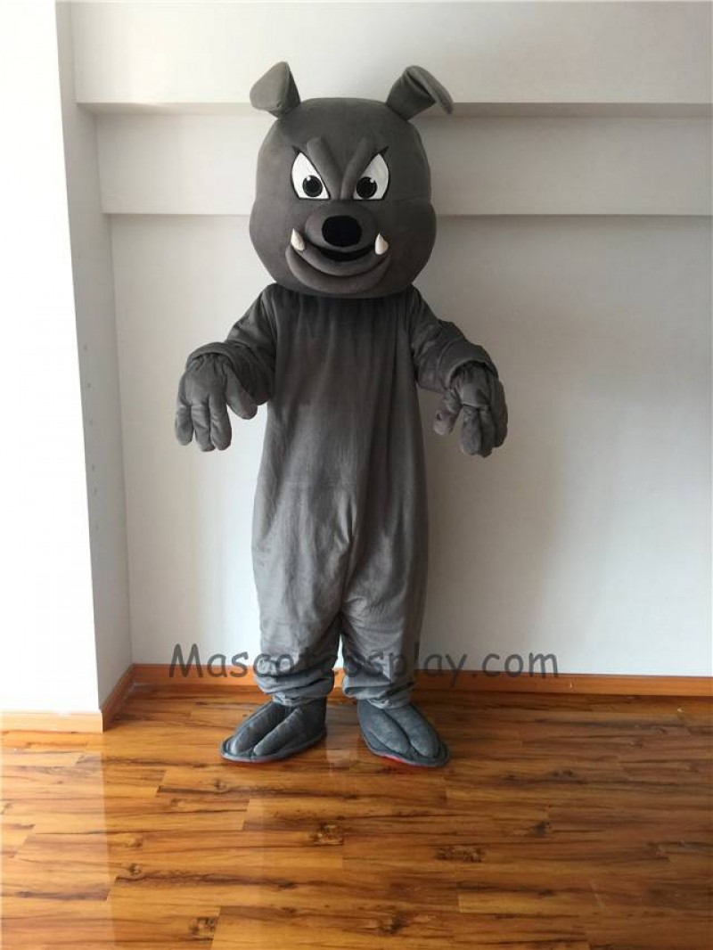 Cute Gray Buster Bulldog Mascot Costume