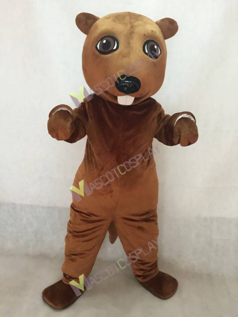 New Lovely Beaver Mascot Costume