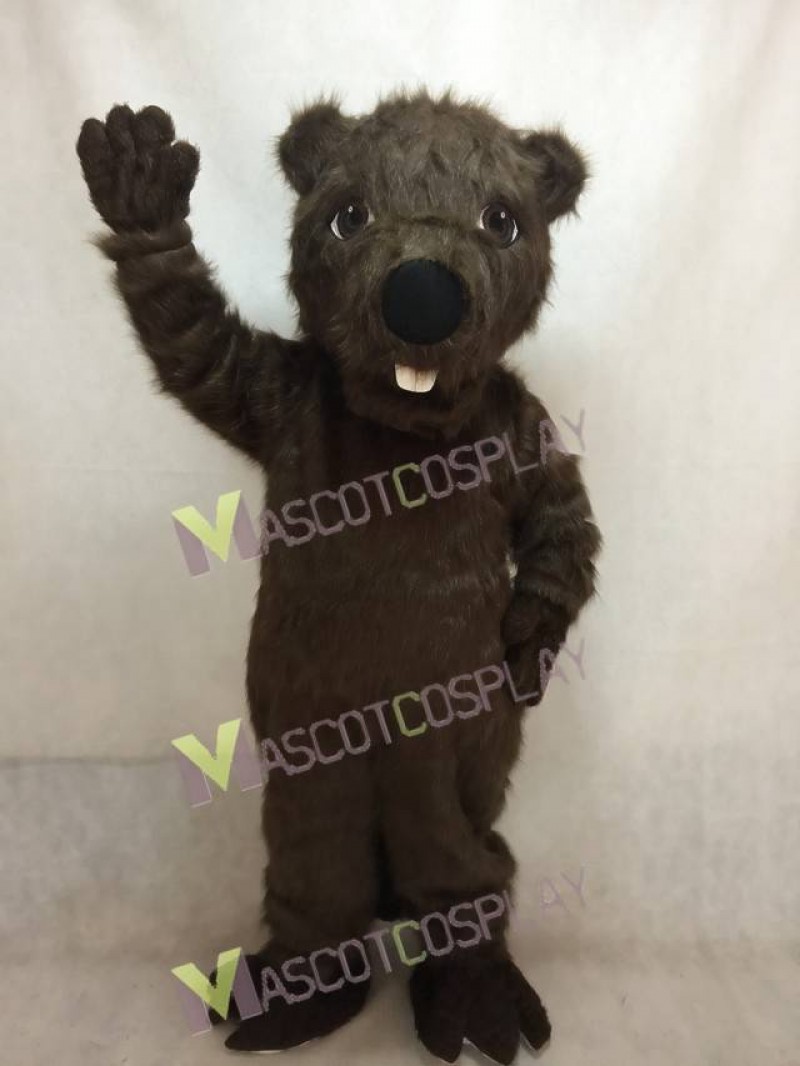 Cute New Beaver Mascot Costume