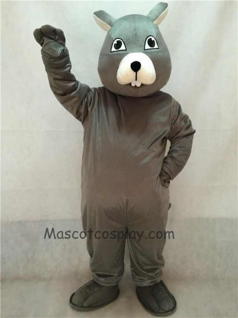 High Quality Vivid Gray Squirrel Mascot Costume