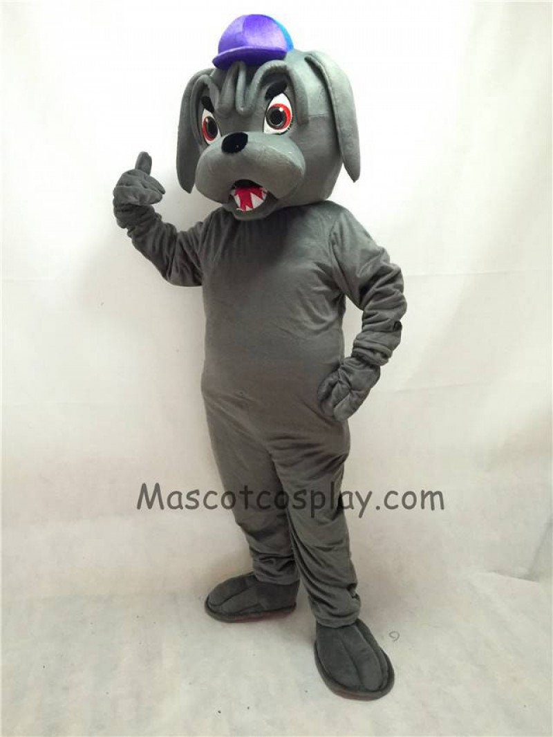 Cute Grey Bulldog with Collar & Purple Hat Mascot Costume