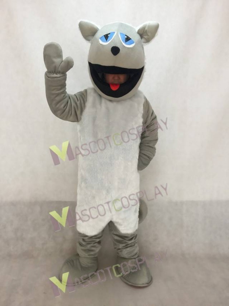 High Quality Realistic Grey Cat with White Belly Mascot Costume