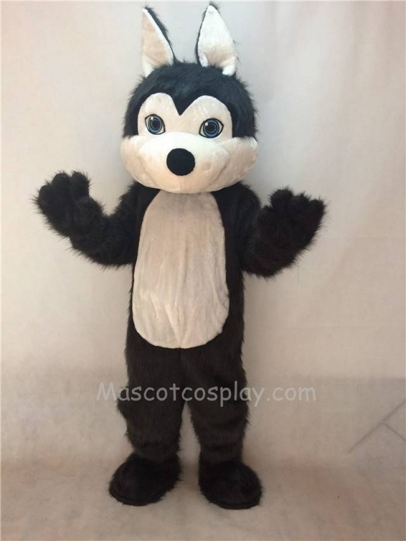 Cute Dark Long Hair Friendly Husky Dog Mascot Costume