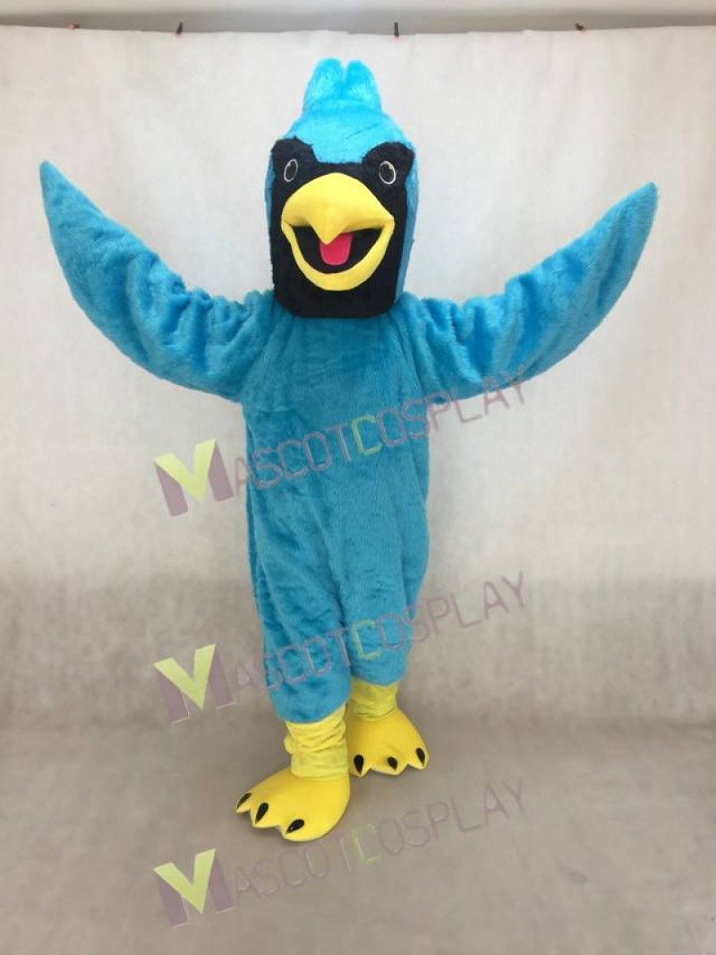 plush blue jay