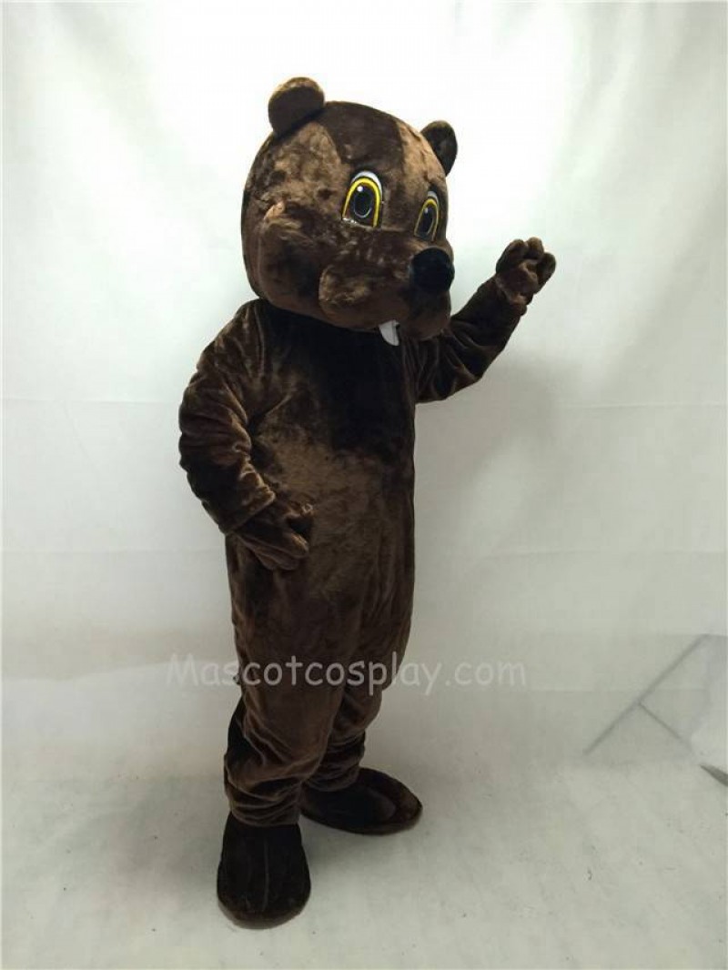 Cute New Brown Woodchuck Mascot Costume