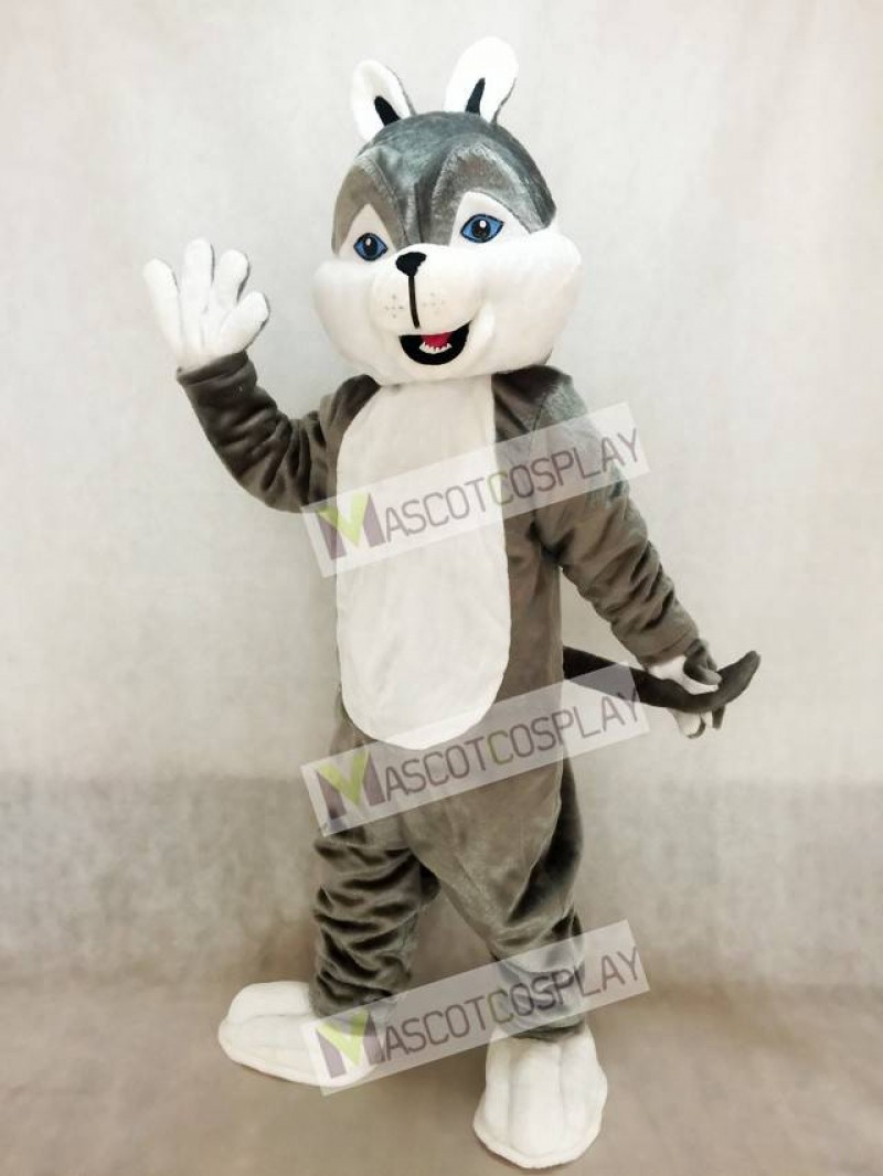 Cute Gray Husky Dog Mascot Costume