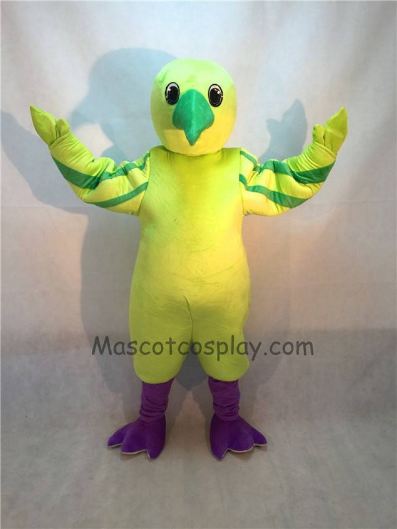 Cute Green Hummingbird Mascot Costume with Purple Feet