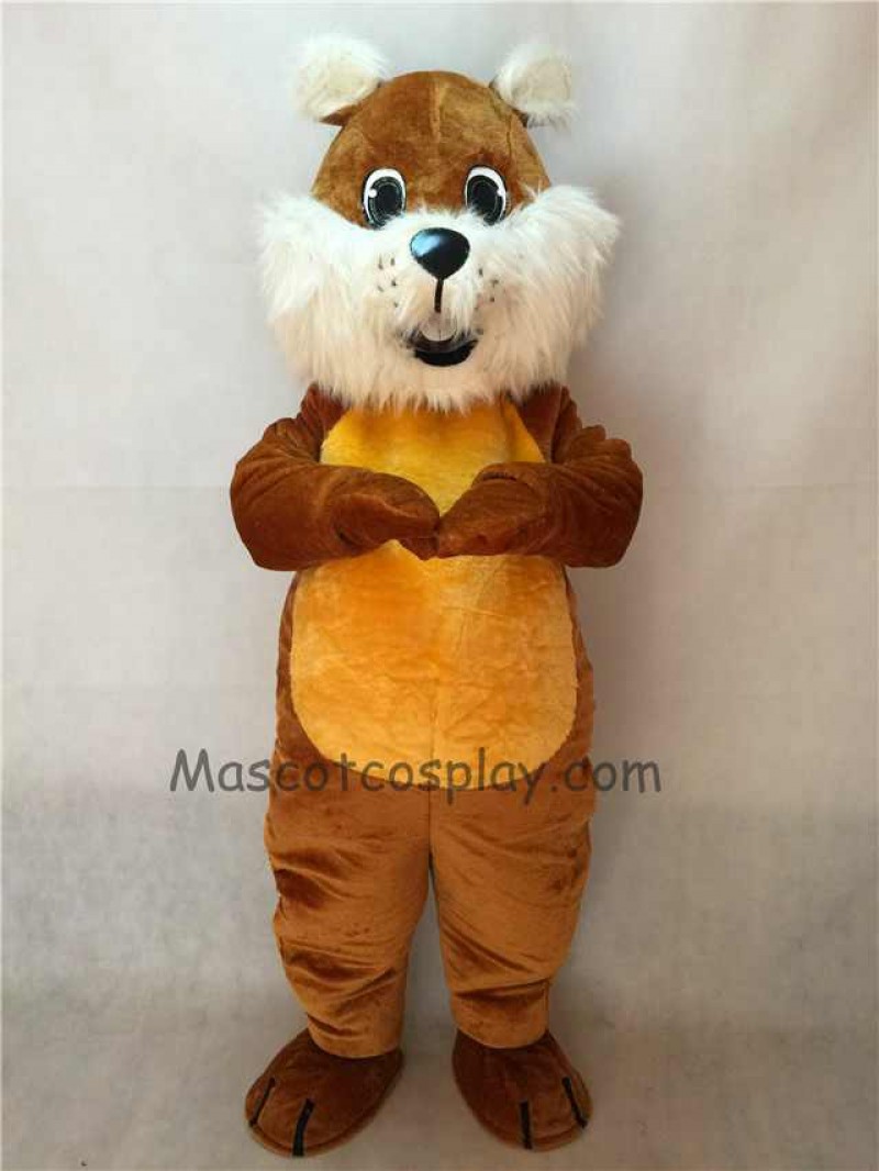 FCute Chubby Squirrel Mascot Costume