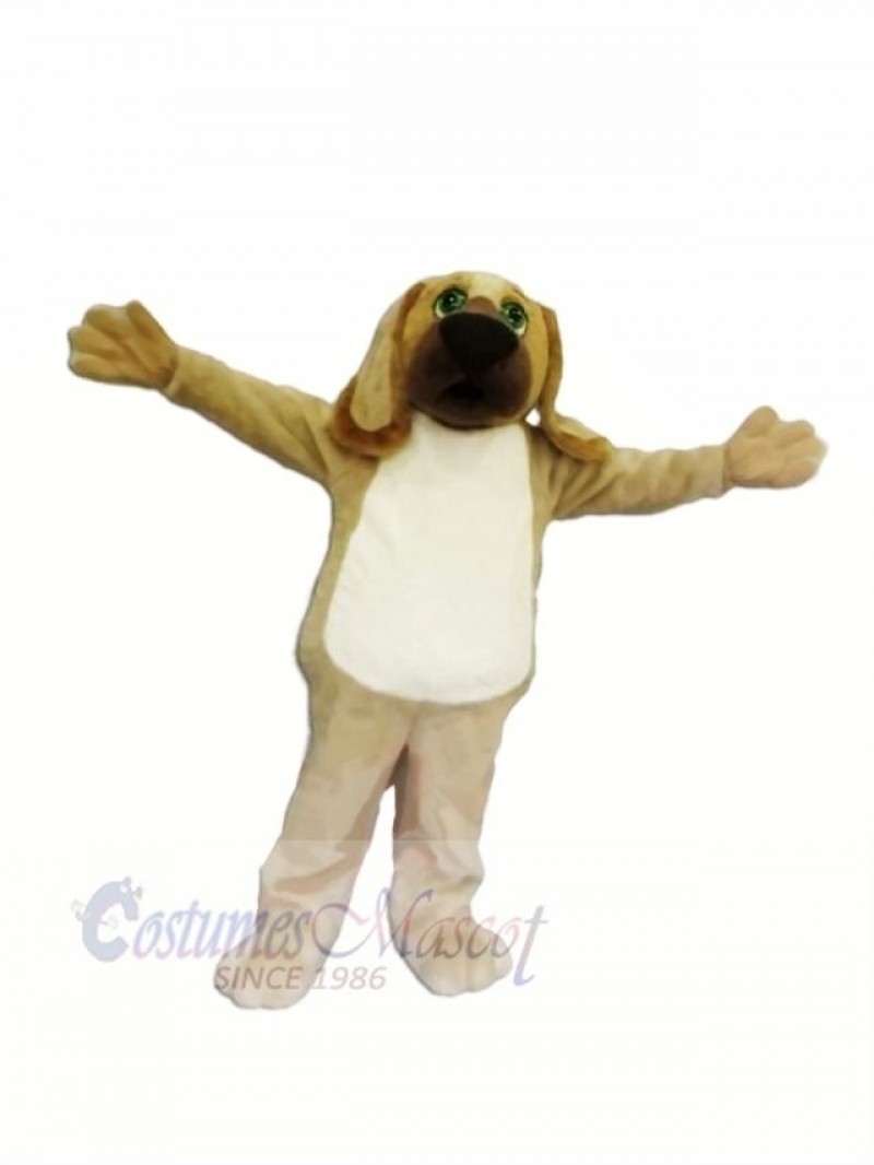 Brown Hound Dog Mascot Costumes Cartoon	