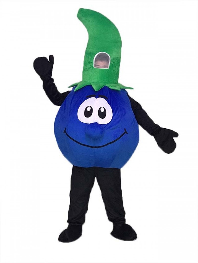 High Quality Bobby Blueberry Blue Berry Mascot Costume