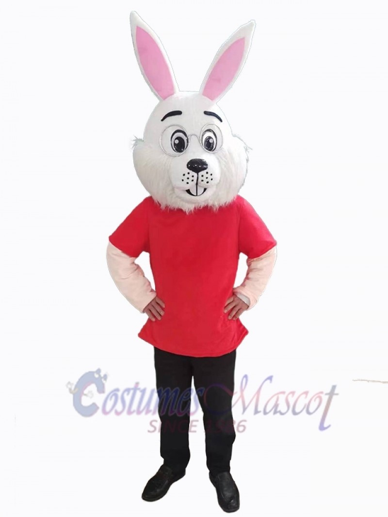 Easter Bunny Rabbit mascot costume