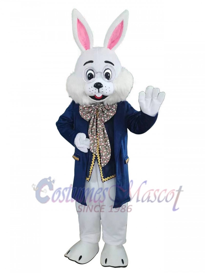 Easter Bunny Rabbit mascot costume