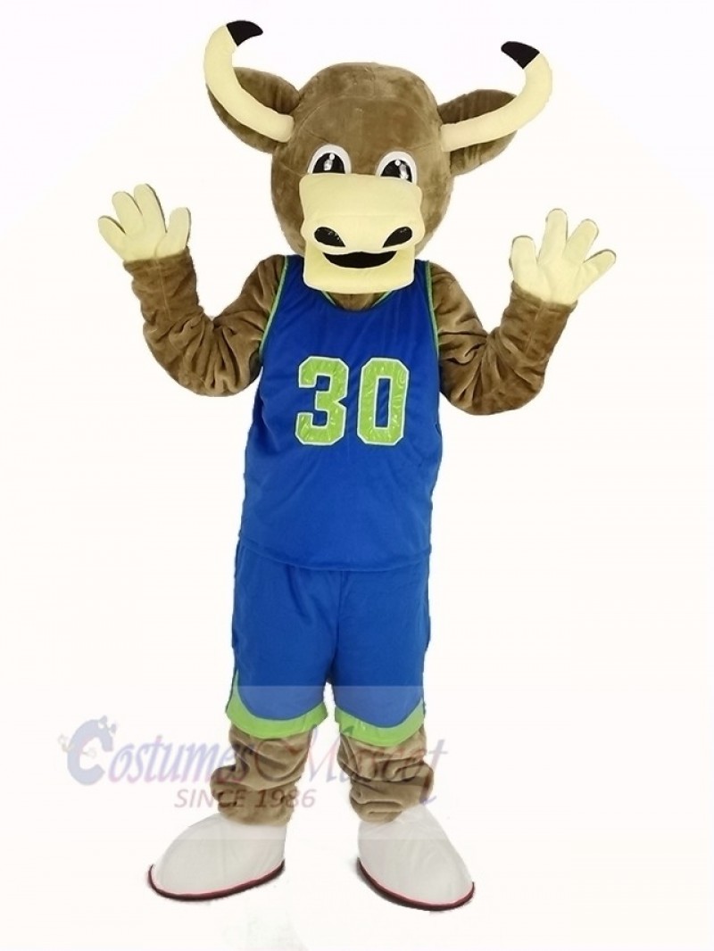 Texas Longhorns Bull in Blue Sportswear Mascot Costume