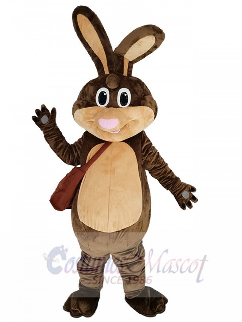 Easter Bunny mascot costume